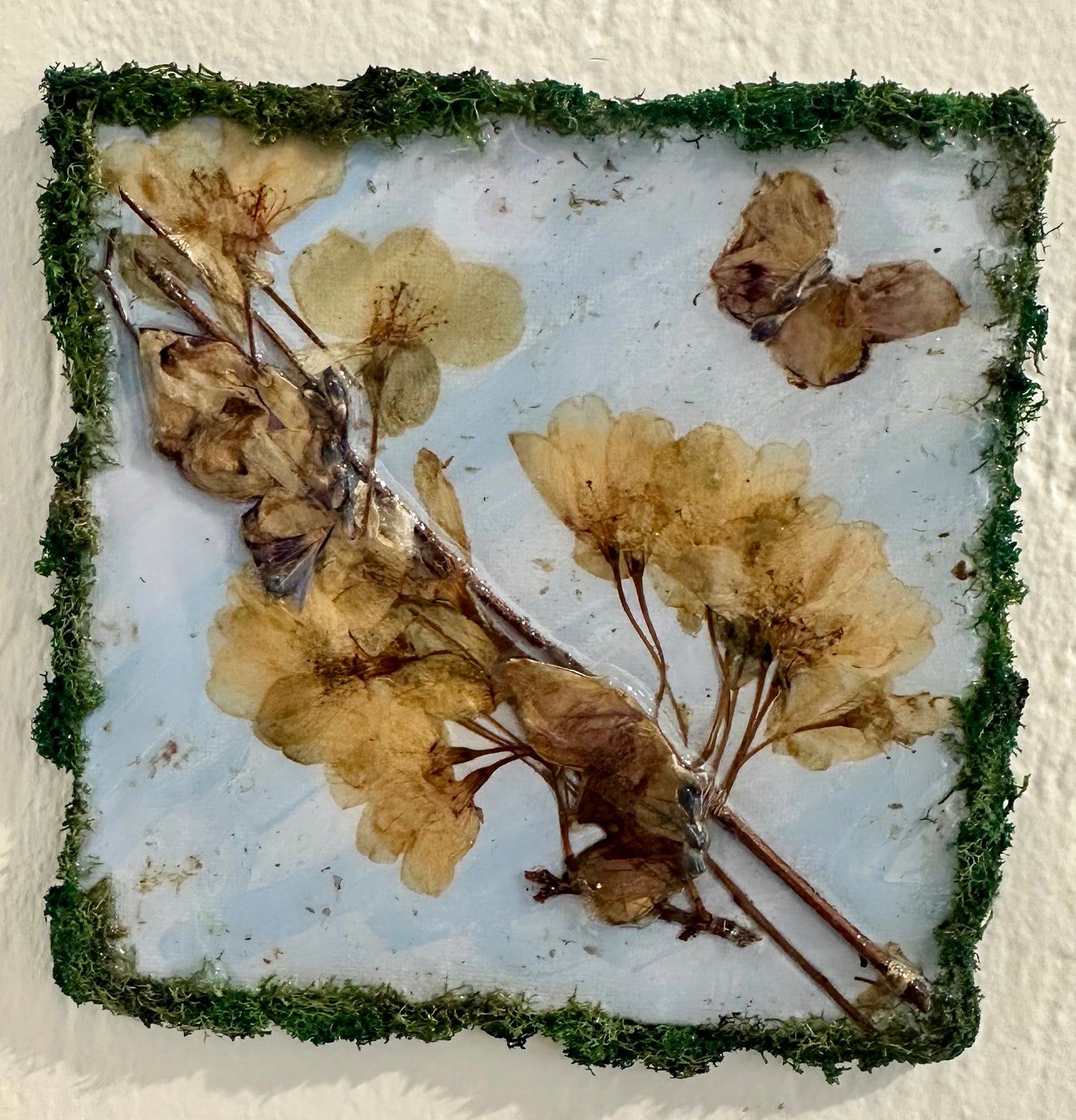 Butterfly Pressed Flower Art