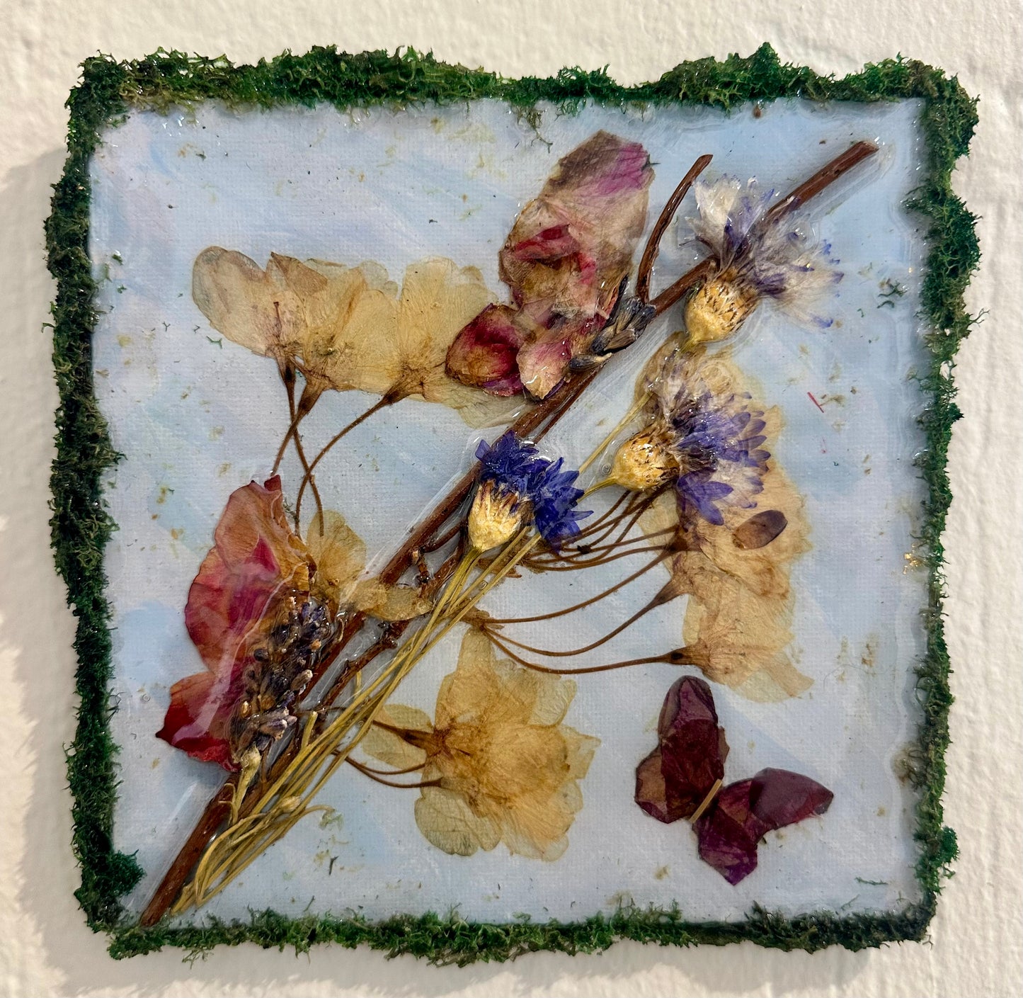 Butterfly Pressed Flower Art