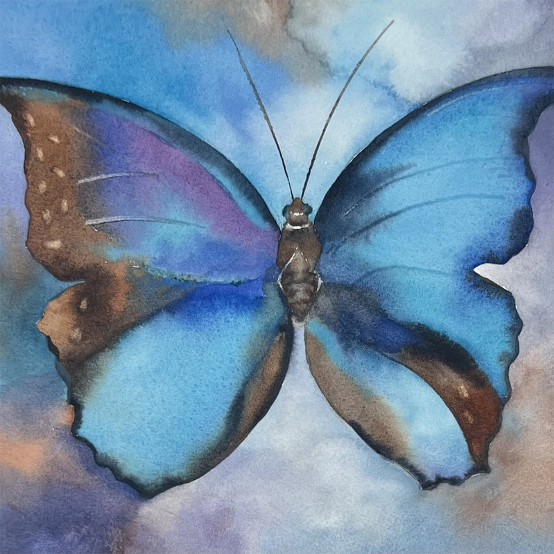 Blue Morpho